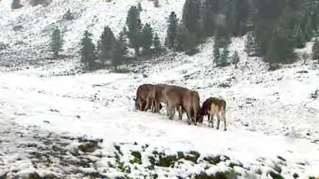 Červencová sněhová nadílka v Tyrolsku