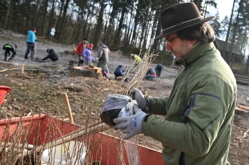 Lesníci vysazují u Brna orientální dřeviny z Balkánu a Blízkého východu. Reagují tak na klimatickou změnu