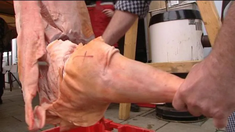 Pomoc chovatelům prasat tématem Ekonomiky ČT24