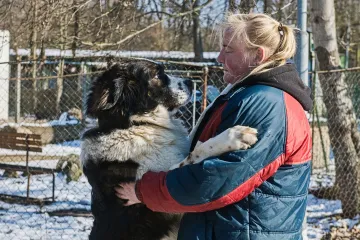 Útulek v Brně přijal už sto padesát psů z fronty na Ukrajině