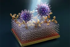 Český biosenzor může odhalit koronavirus dříve, než se začnou tvořit protilátky