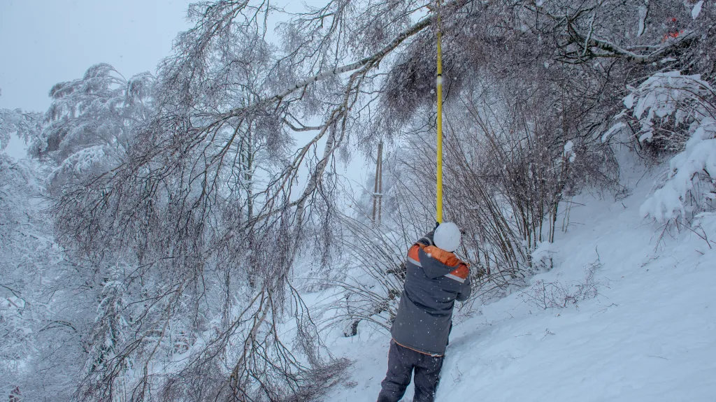 Stromy popadané pod vahou čerstvého sněhu způsobily na severu Čech desítky poruch na vedení vysokého napětí