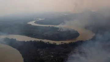 Požáry v Brazílii