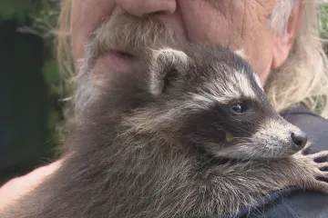 Záchranné stanici, kterou poničil požár, poslali lidé miliony