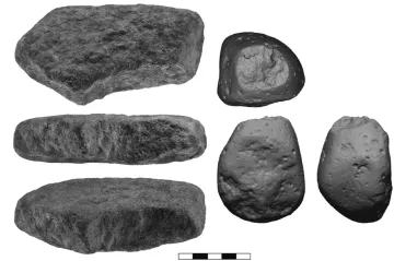 Lidé v paleolitu se neživili paleo dietou. Jedli třeba stulíky