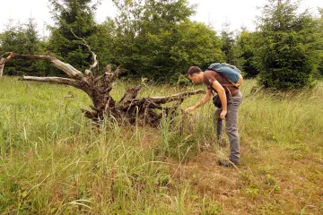 Tam, kde vlci, rysi a medvědi dávají dobrou noc: Po stopách šelem v Beskydech a Javorníkách
