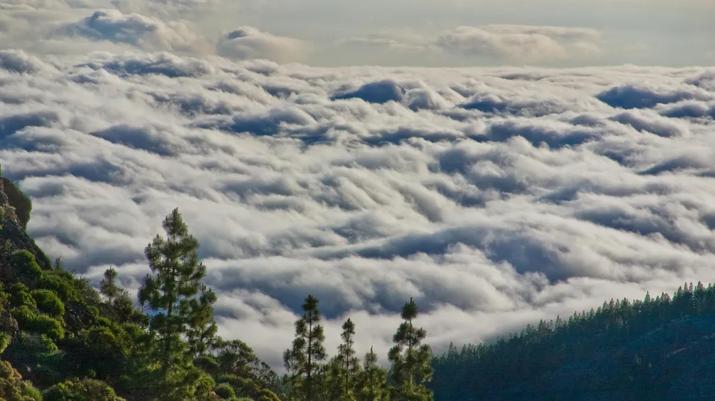 Inverze, ilustrační foto