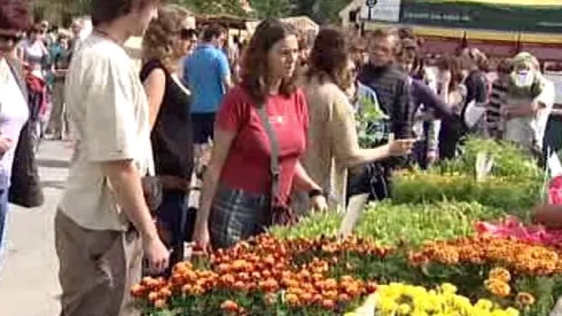Kupující na farmářských trzích v Plzni