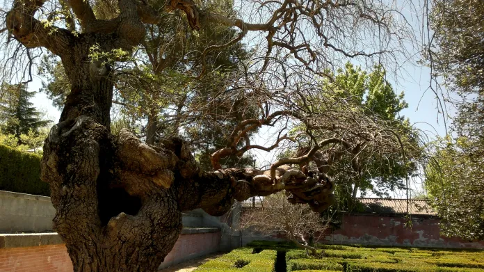 Zahrady zámku El Pardo