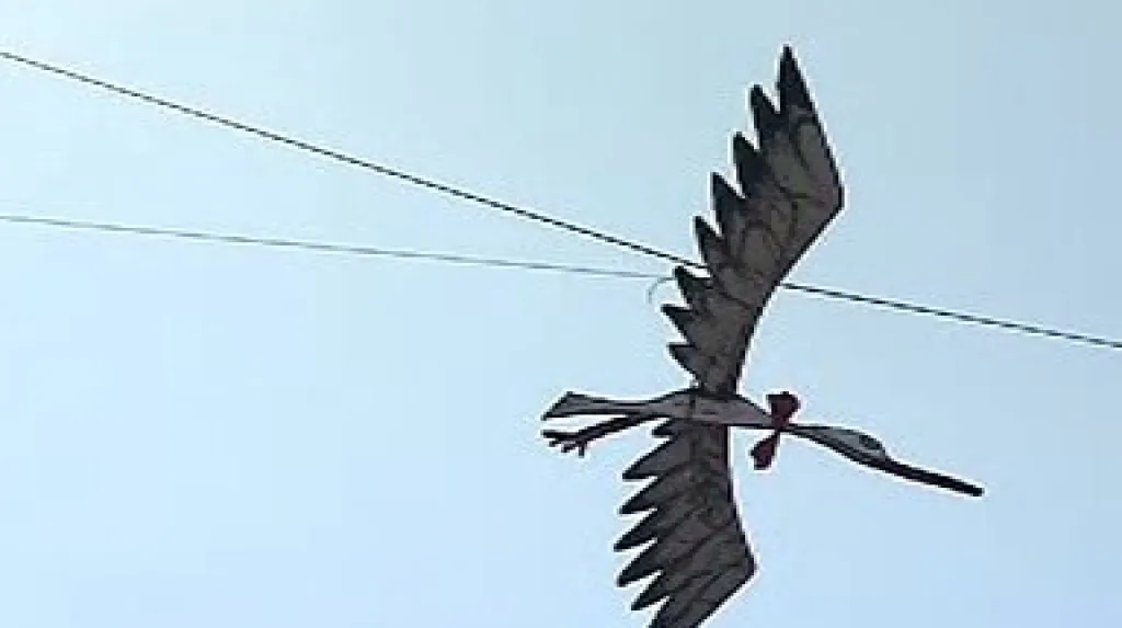 Čáp - symbol AniFestu