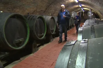 Dolní Dunajovice žijí vinařstvím. Ryzlink vlašský je tam doma