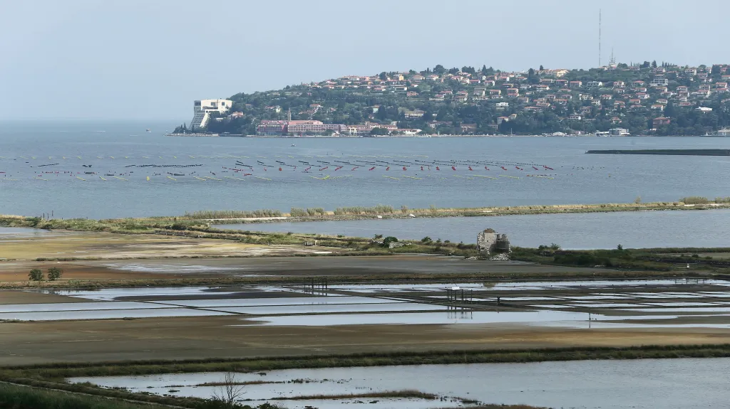 Piranský záliv