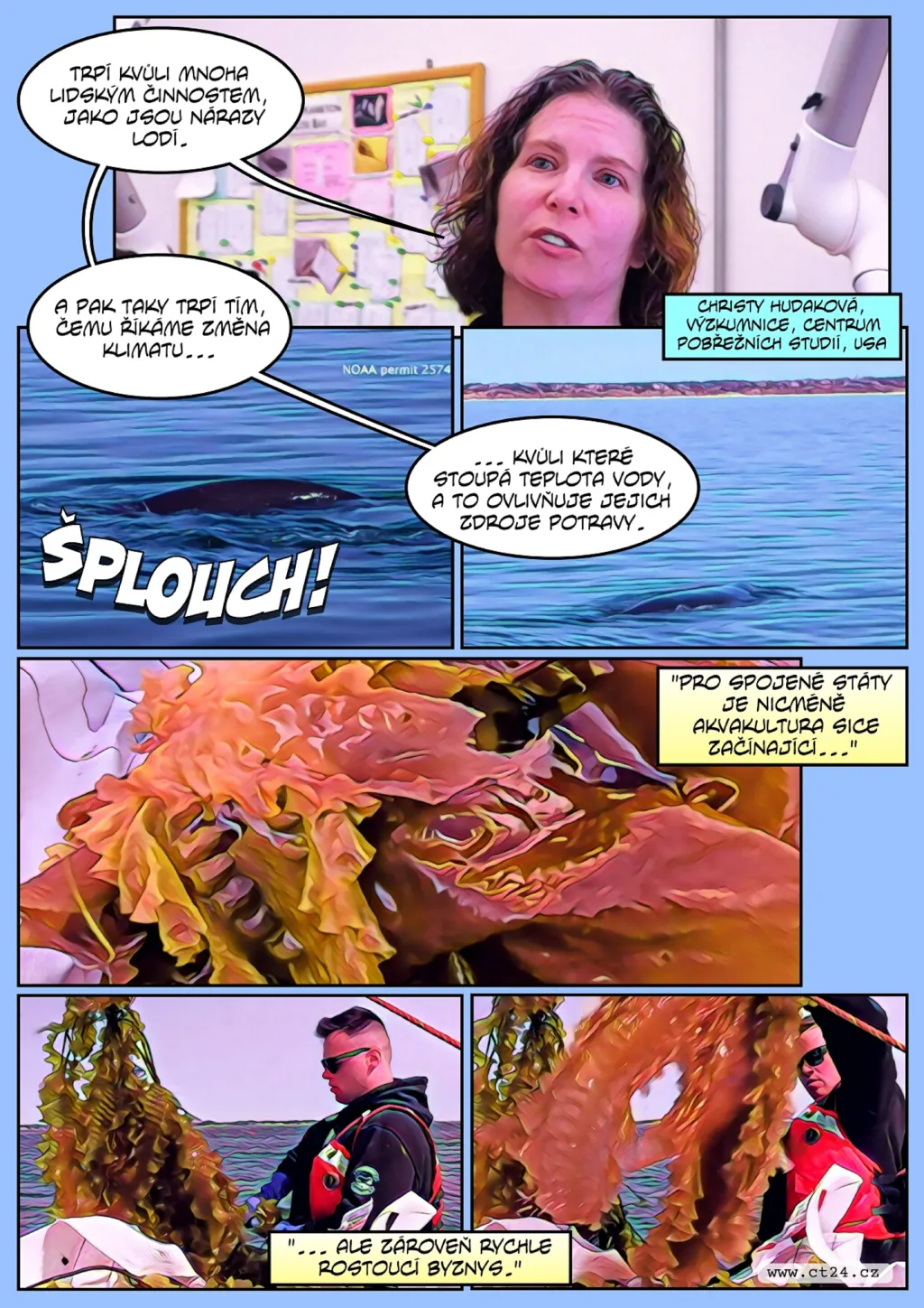 Velryby jsou ohrožené farmami na řasy