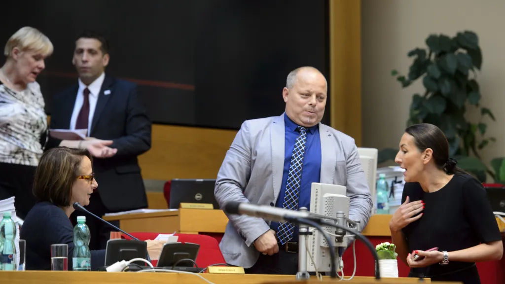 Alexandra Udženija na jednání pražského zastupitelstva