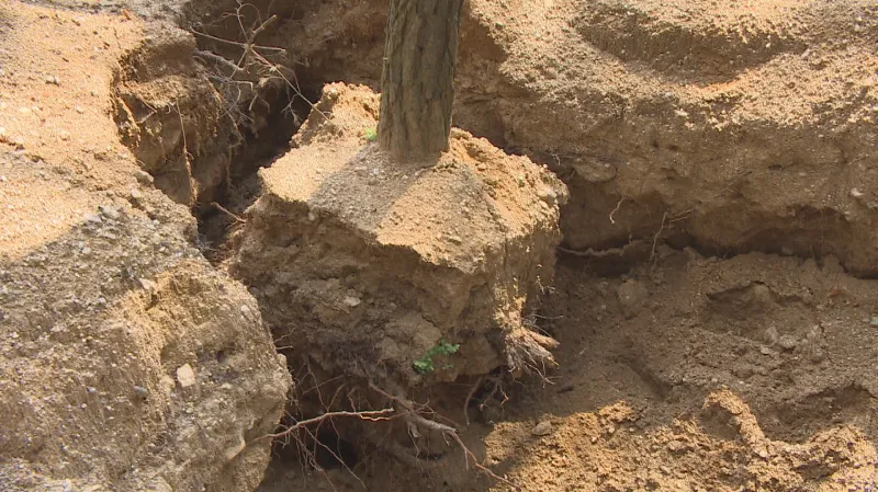 Důsledky činnosti nelegálních hledačů vltavínů