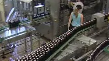 Stáčecí linka v pivovaru