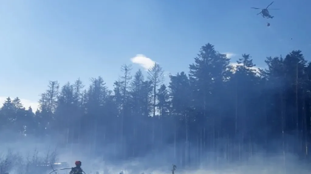 Požár lesa u Černovic