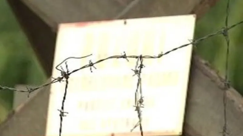 Vstup Edity Horákové