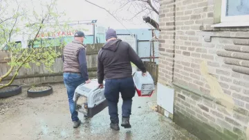 Evakuace domácích mazlíčků z Kramatorsku
