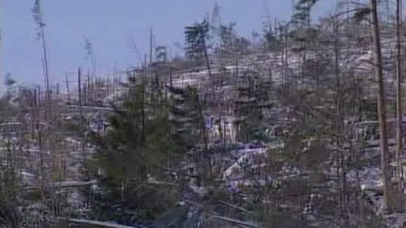 Následky vichřice v Tatrách