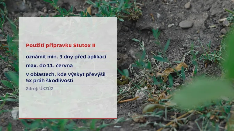 Použití přípravku Stutox II
