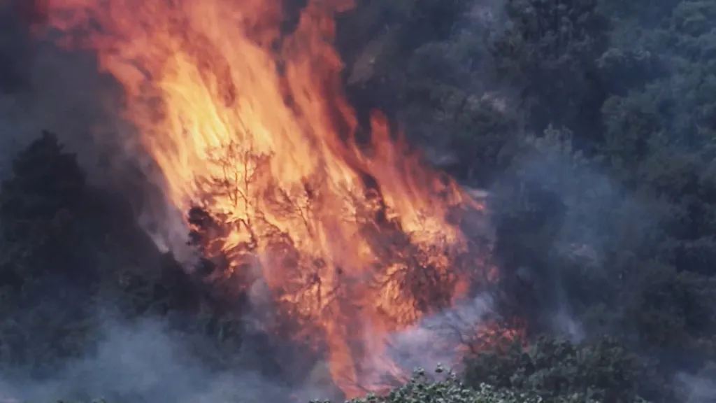 Severní Ameriku sužují rychle se šířící lesní požáry