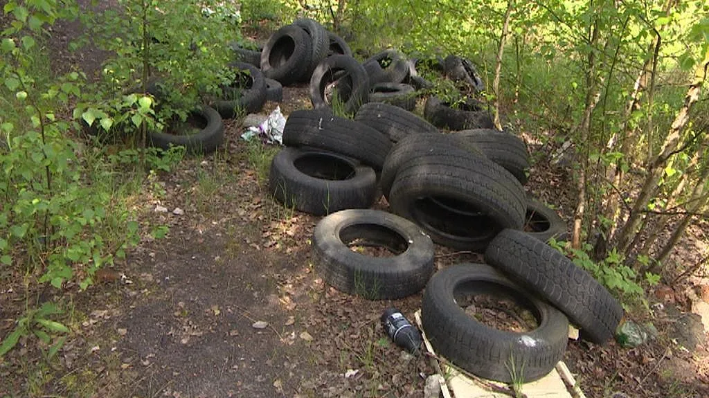 Černá skládka u jezera Medard