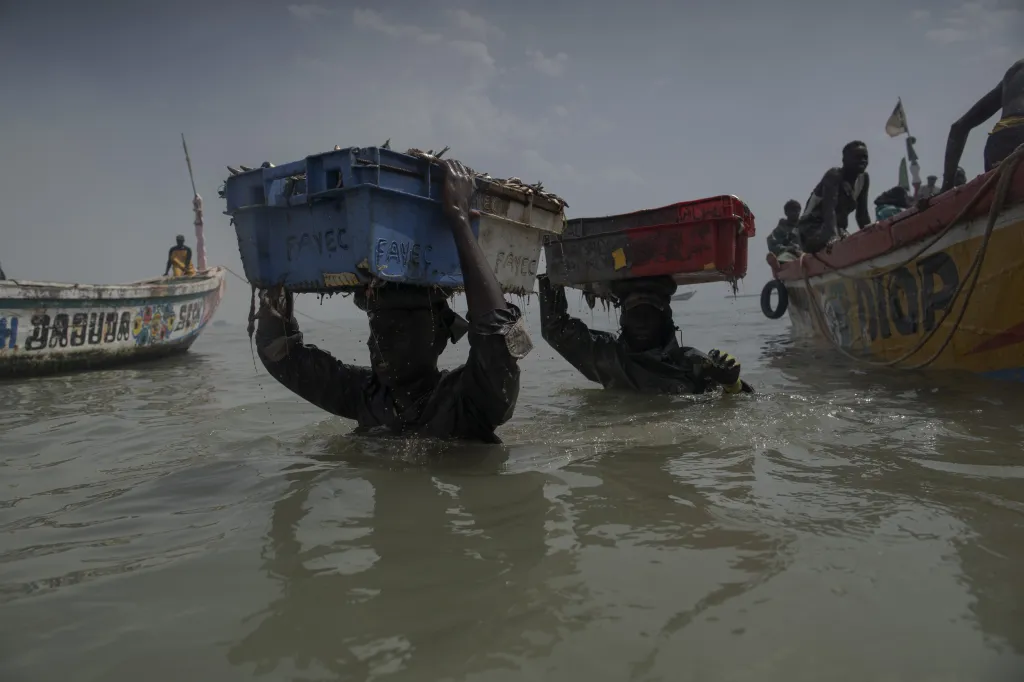 Místní obyvatelé z okolí senegalské zátoky Bargny se rybolovem živí od nepaměti. Jejich metoda lovu a zpracování úlovku se dědí z generace na generaci