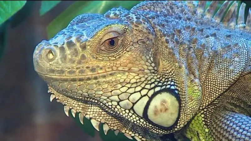 Reportáž Elišky Čermákové