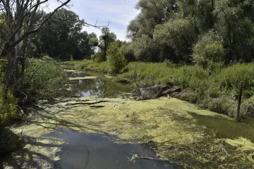 Ústavní soud zamítl návrh na zrušení CHKO Soutok