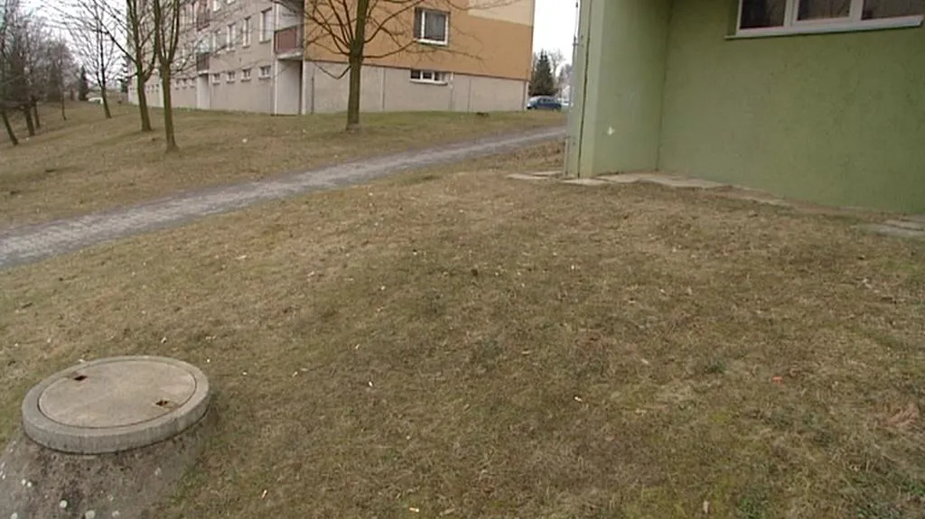 Trávník