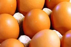 Obchodní řetězce přestanou do šesti let prodávat vejce od slepic z klecových chovů