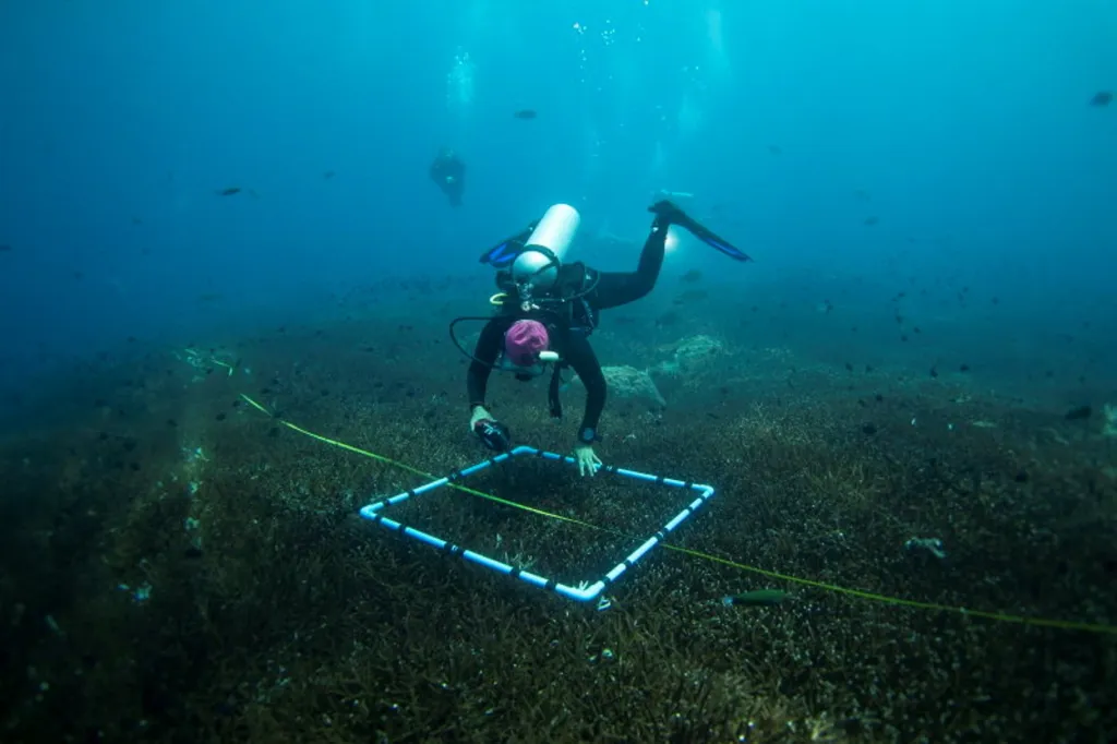 Opuštěné rybářské sítě pokrývající korálový útes v chráněné oblasti Ko Losin. Skupina dobrovolných potápěčů, vědecké centrum pro výzkum pobřeží a thajské královské námořnictvo odstraňuje v této oblasti sítě “duchů”