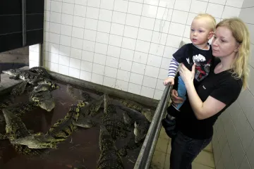 Krokodýlí maso skončilo v kafilerii. Češi o něj neměli zájem