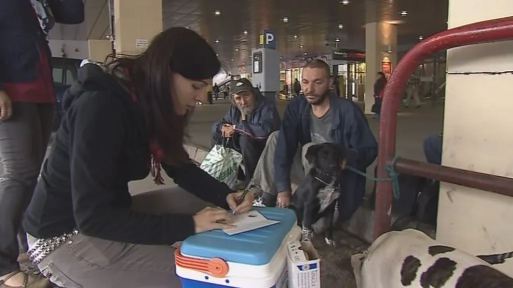 Studentky farmacie očkují psy bezdomovců