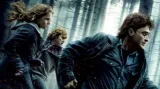 Ivan Kytka o novém Harry Potterovi