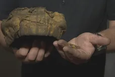 Čepice a cigaretové papírky. Historici našli na Cejlu předměty, které patřily vězňům za protektorátu