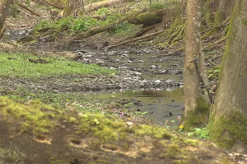 Spor o Národní park Křivoklátsko chce Hladík rozetnout posílením hlasu obcí