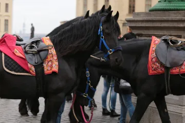 Svatojánské slavnosti uctily vodu stylově. Pršelo na průvod i ozdobené koně