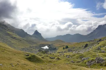 Klimatická změna ohrožuje léčivé rostliny. Dvě skupiny vědců se je pokouší zachránit