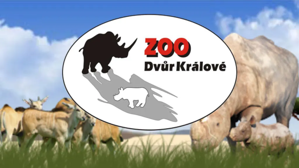 Zoo Dvůr Králové