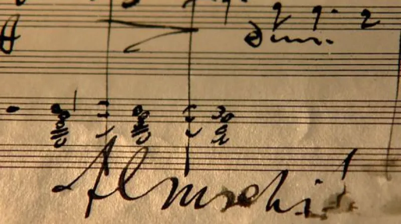 Reportáž Terezy Radvákové