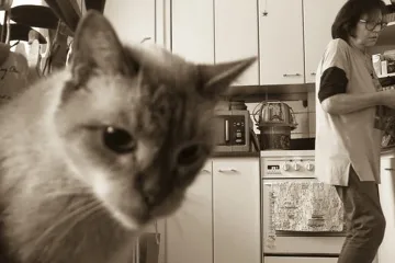 „Ani jsme je nepostřehli.“ Poslední koncert Marty Kubišové zvěčnil dokument