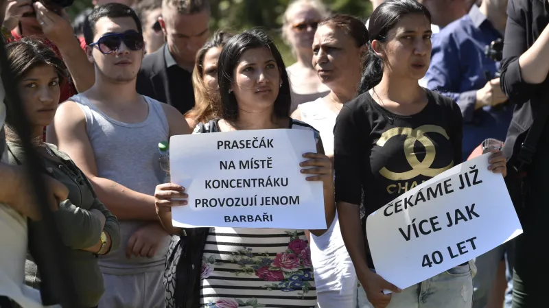 Protest proti vepřínu v Letech u Písku
