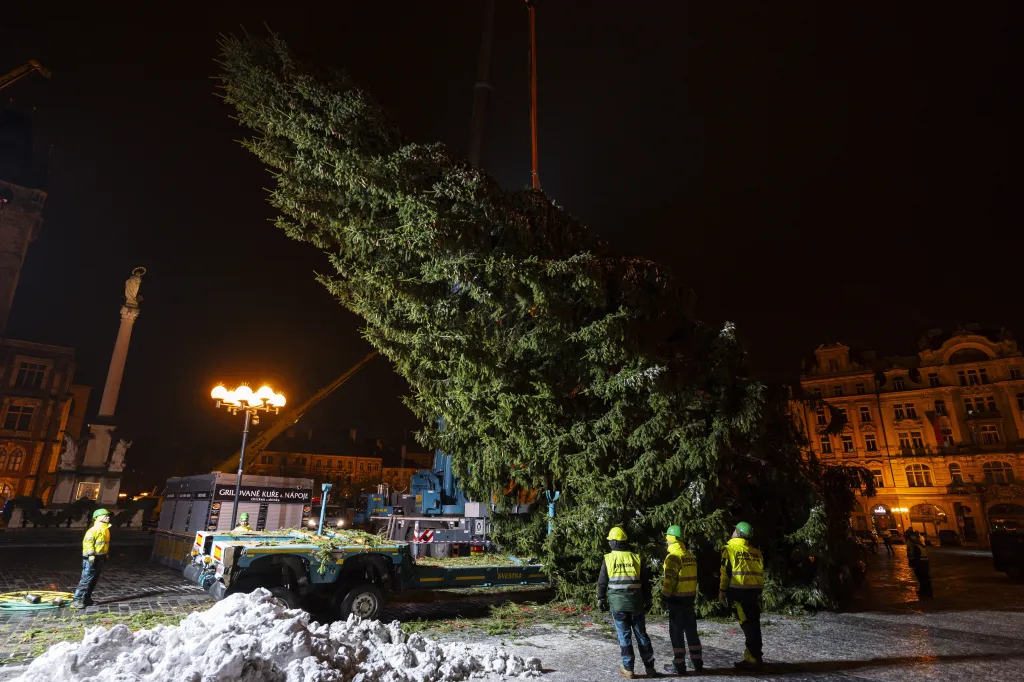Na pražském Staroměstském náměstí ukotvili vánoční strom