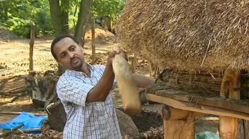 Etiopská vesnice ve zlínské zoo