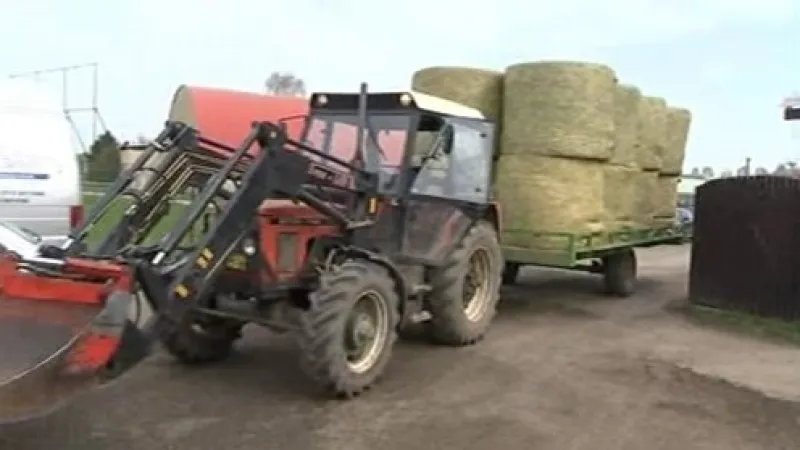 Pomoc od tlumačovského hřebčína