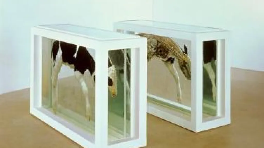 Dílo Damiena Hirsta