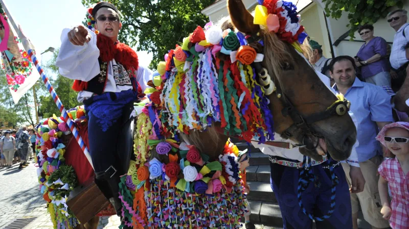 Koně královské družiny jsou bohatě ozdobení