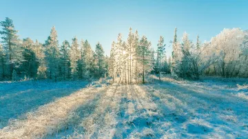 Ilustrační snímek